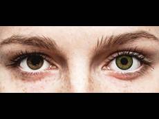 FreshLook One Day Color Green - 0-tugevusega (10 läätse)