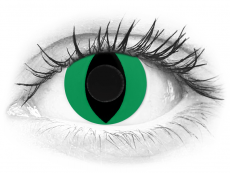 CRAZY LENS - Cat Eye Green - Ühepäevased läätsed 0-tugevusega (2 läätse)