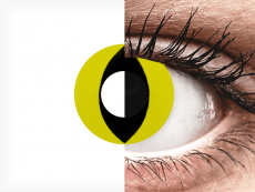 CRAZY LENS - Cat Eye Yellow - Ühepäevased läätsed 0-tugevusega (2 läätse)