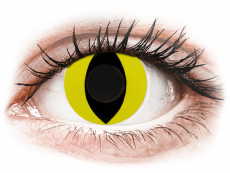 CRAZY LENS - Cat Eye Yellow - Ühepäevased läätsed 0-tugevusega (2 läätse)