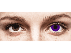 CRAZY LENS - Solid Violet - Ühepäevased läätsed 0-tugevusega (2 läätse)