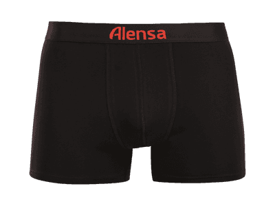 Meeste bokserid Alensa